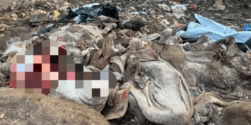 Polícia identifica lixão clandestino para descarte de animais dentro do Parque Estadual do Mirador, no MA