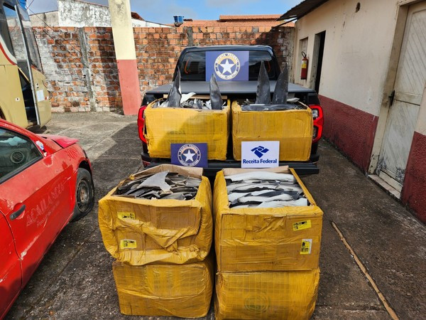 Receita apreende 185 kg de barbatanas de tubarão-azul ameaçado de extinção