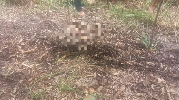Corpo é encontrado em cova rasa próximo à UFMA, em São Luís; vítima é jovem desaparecida há três dias, diz família