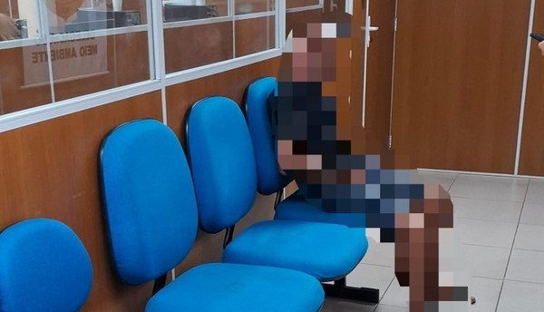 Idoso é preso suspeito de agredir cachorro com panela de pressão em São Luís; crime foi registrado por moradores