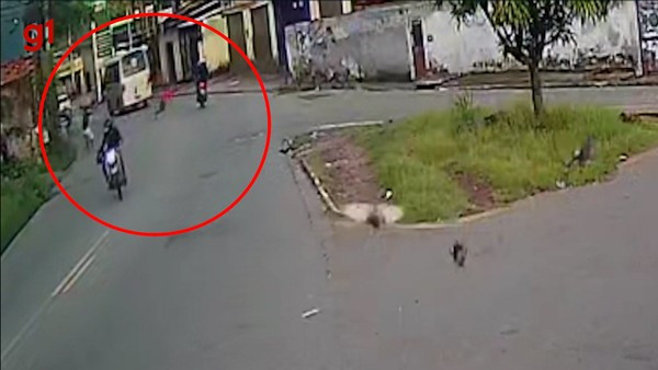  Jovem é morto a tiros na região do Anil, em São Luís; suspeito é preso
