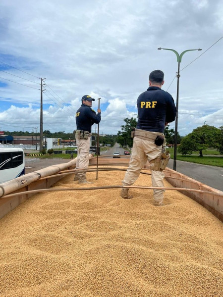 PRF apreende 120 kg de pasta base e cloridrato de cocaína em carga de soja na BR-135, em São Luís