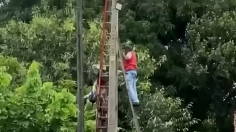 Terceirizado da Equatorial morre após sofrer infarto durante trabalho no interior do MA; vítima ficou pendurada em poste