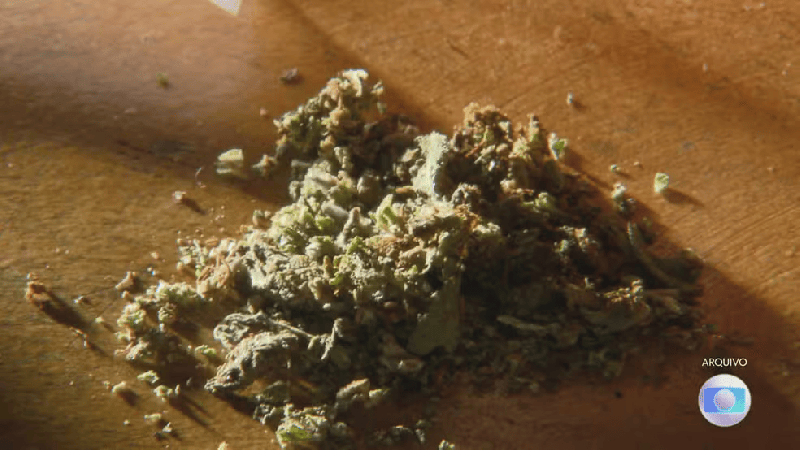 Defensoria Pública pede suspensão de processos por porte de maconha em Itapecuru-Mirim no MA; prática não foi legalizada