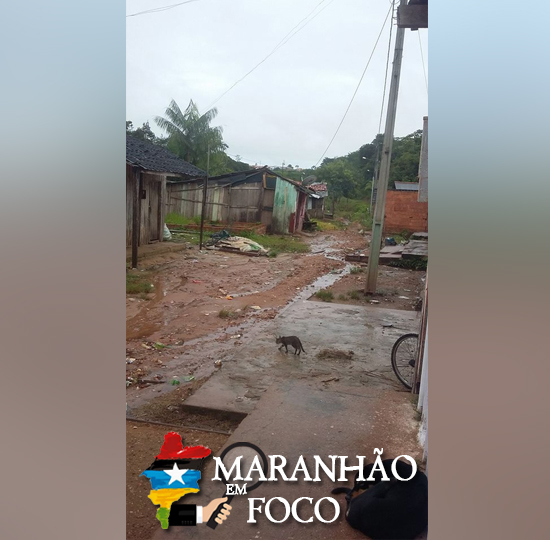 www.maranhaoemfoco.com.br
