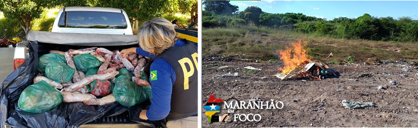 www.maranhaoemfoco.com.br