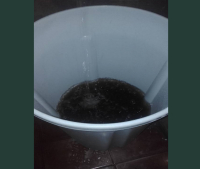 Timonenses reclamam de água preta fornecida pela AEGEA