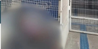 Homem leva mãe idosa morta em busca de atendimento na sede do MPF em São Luís; polícia investiga o caso