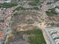 Comerciante é intimado pela Polícia Civil por queima de madeira para fabricação de carvão em São Luís