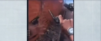 Após postarem vídeo ostentando armas de fogo, adolescentes são apreendidos no MA