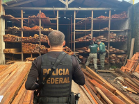 PF deflagra operação contra receptação ilegal de madeira e fraudes ambientais no Maranhão