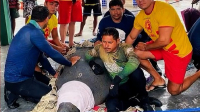 Peixe-boi é resgatado na região dos Lençóis Maranhenses após ficar sem se alimentar