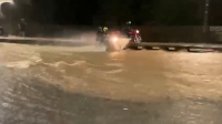 Grande São Luís recebeu 30% da chuva esperada para março e 300 raios entre quinta (13) e sexta (14); Entenda