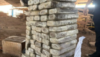 Polícia Civil do MA incinera cerca de 700 kg de entorpecentes na cidade de Imperatriz