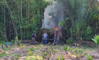Trio suspeito de cultivar roça de maconha é preso no interior do Maranhão