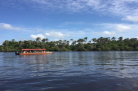 Justiça paralisa construção de ponte de acesso ao Parque Nacional dos Lençóis Maranhenses por falta de regularização da obra